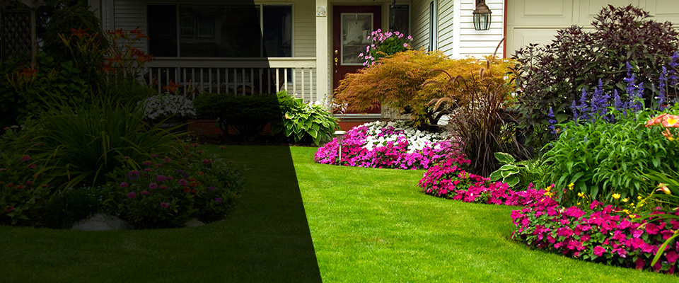 Moody Landscapers